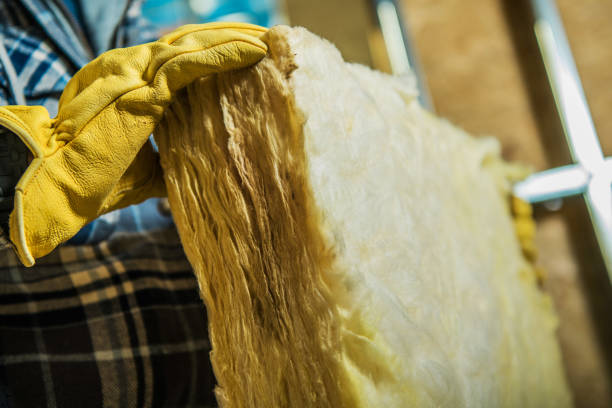 Best Eco-Friendly Insulation in La Fayette, AL
